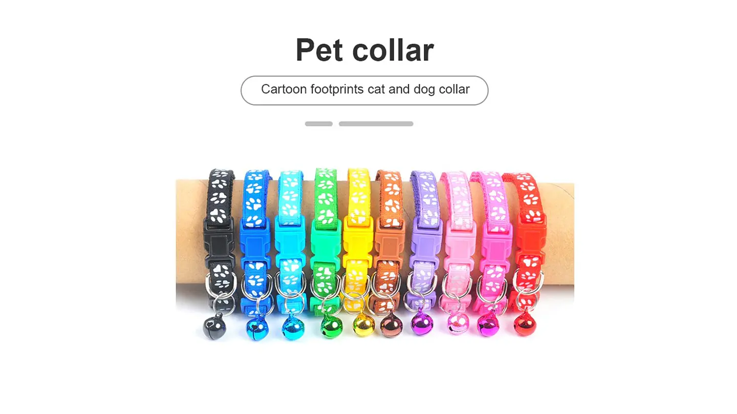 Collar para Gatos variados colores 3