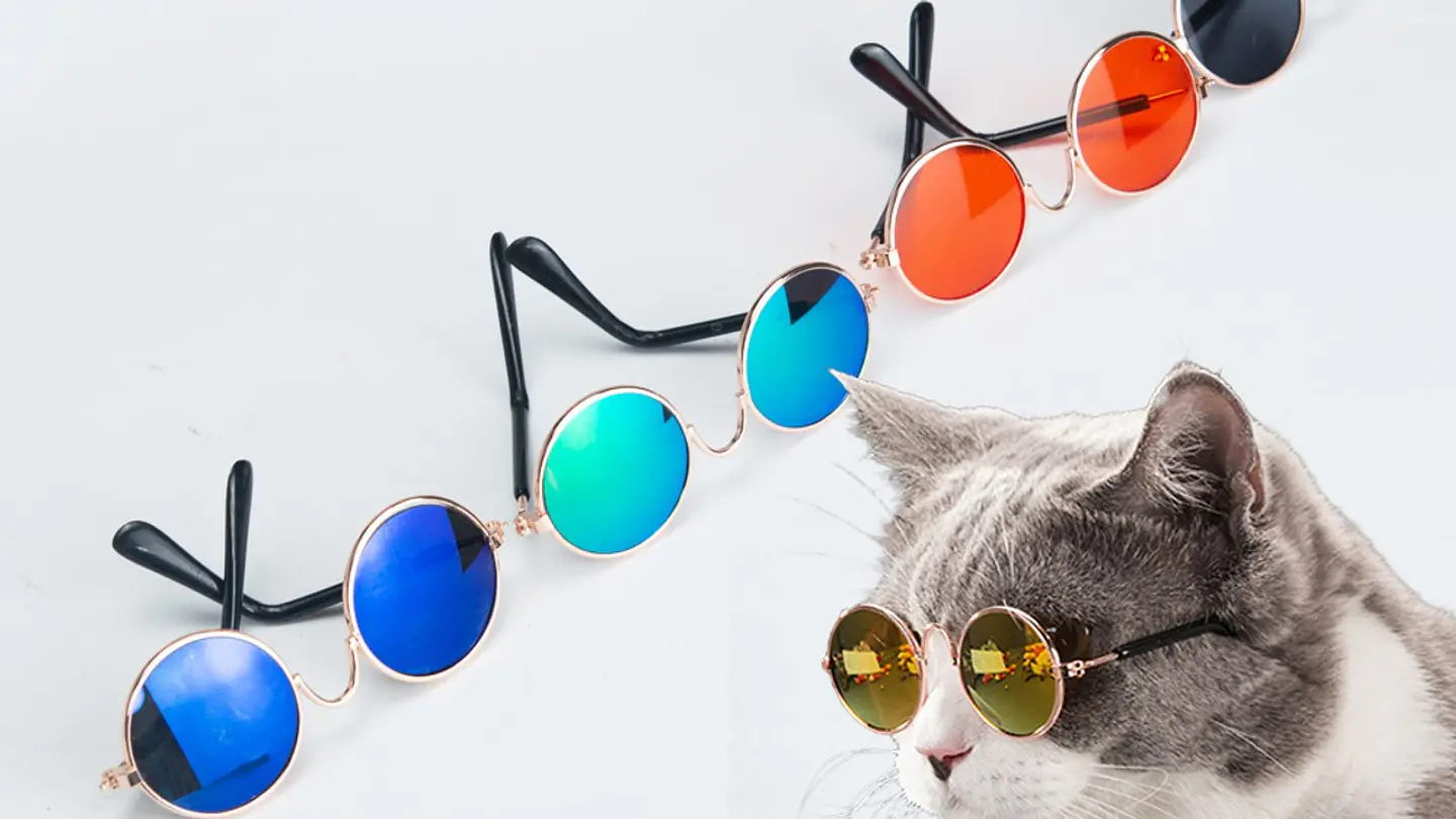 Lentes para gatos o perros pequeños 5