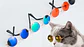 Lentes para gatos o perros pequeños - Miniatura 5