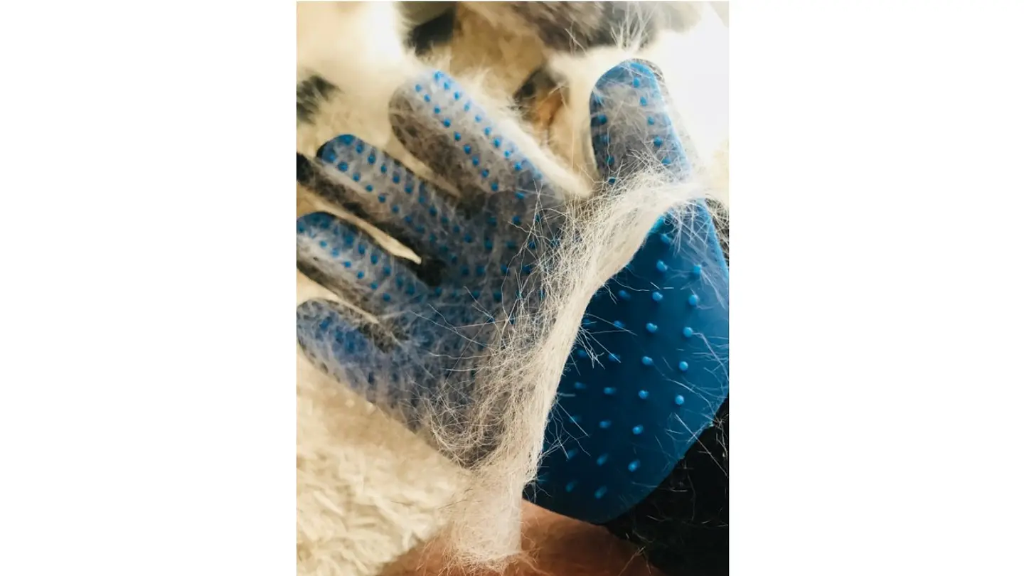 Guantes de Masajes y Limpieza  1