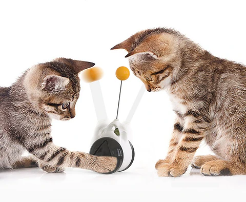 Juguete para Gatos