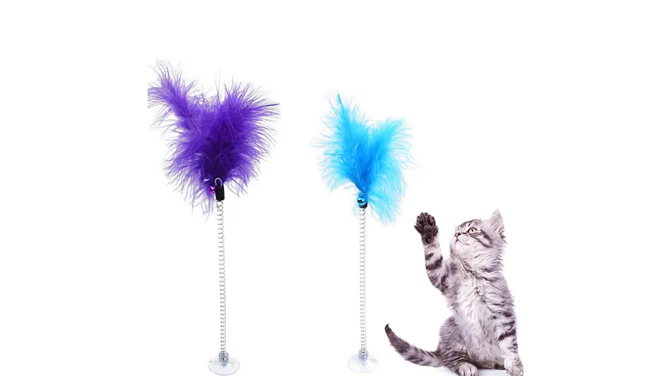 Pluma para Gatos 3