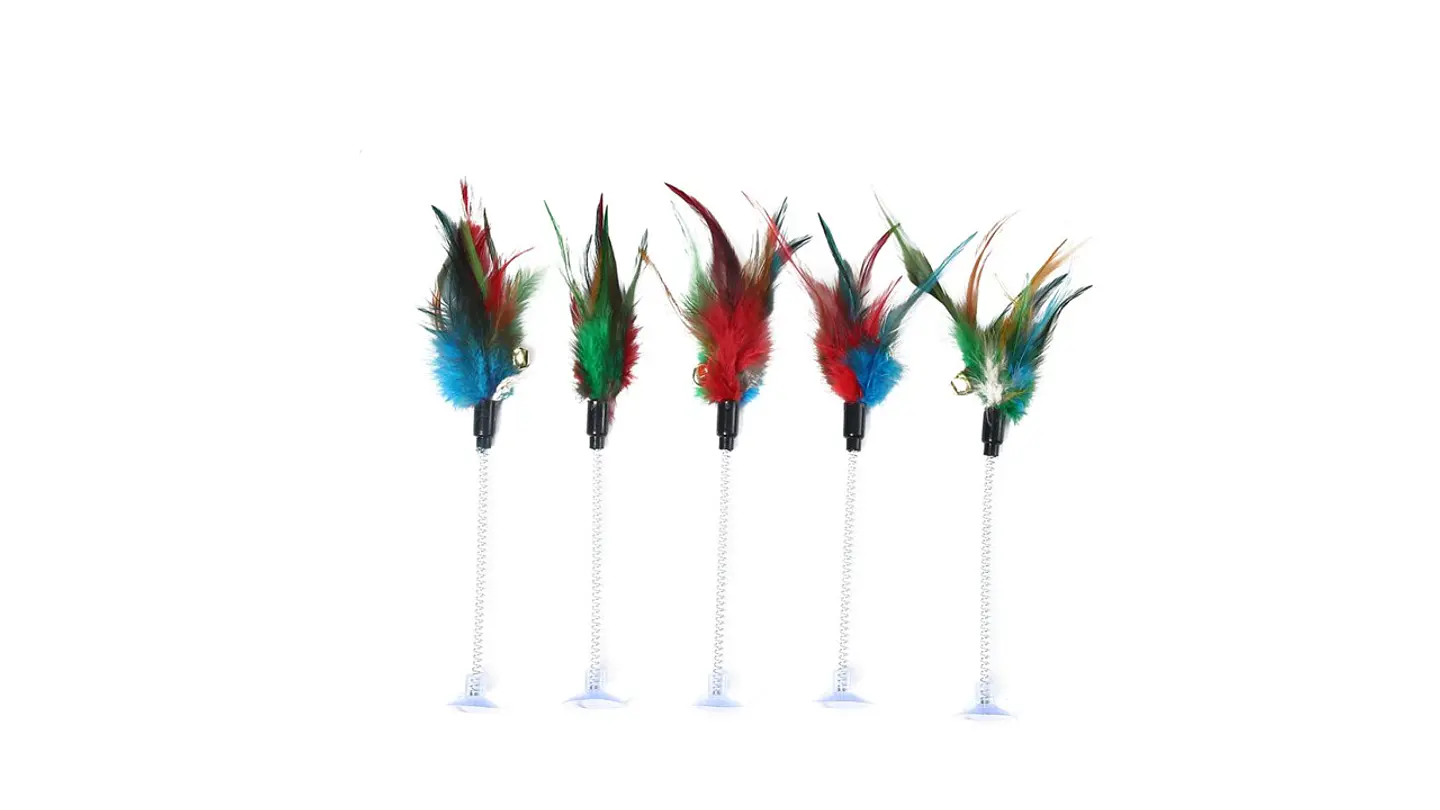 Pluma para Gatos 4