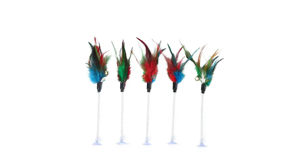 Pluma para Gatos 4