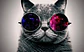 Lentes para gatos o perros pequeños - Miniatura 4