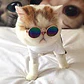 Lentes para gatos o perros pequeños - Miniatura 2