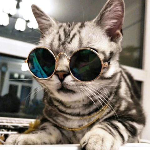 Lentes para gatos o perros pequeños