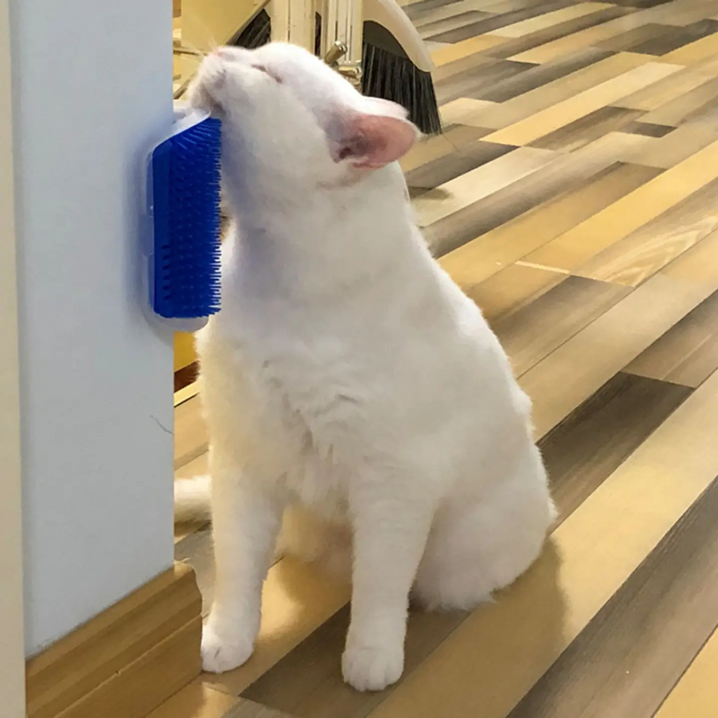 Rascador para Gatos 1
