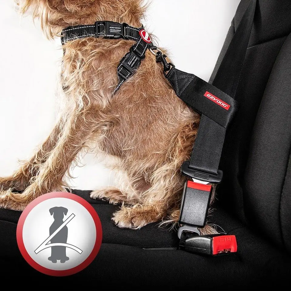 Cinturón de Seguridad | EZYDOG 2