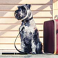 Collar de Cuero OXFORD | EZYDOG | Talla L - Miniatura 1