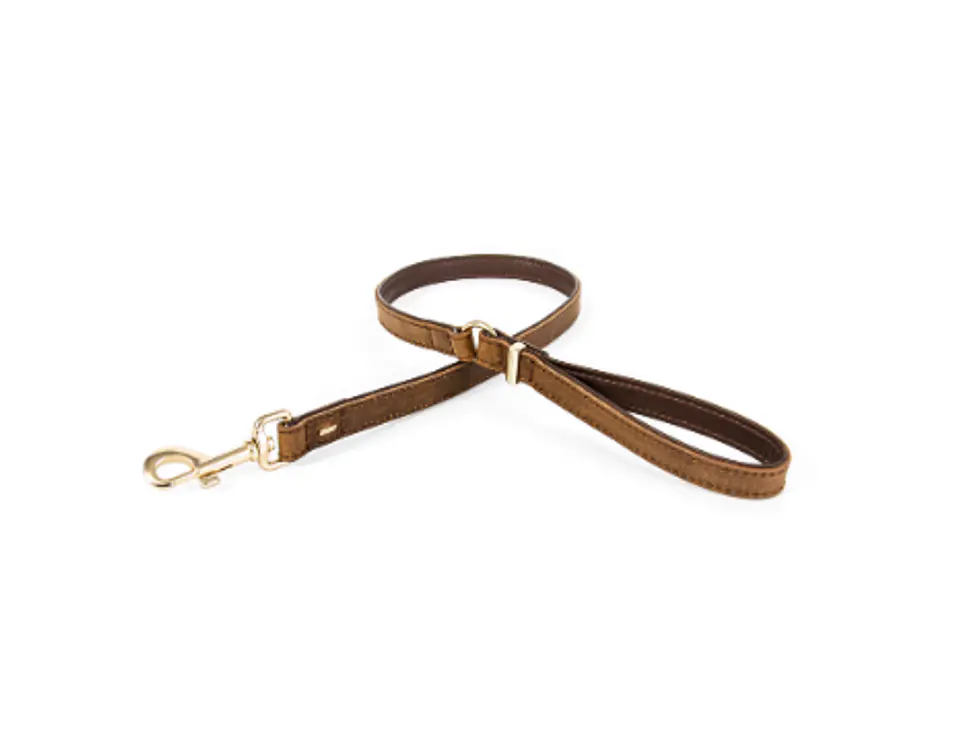 Collar de Cuero OXFORD | EZYDOG | Talla L 7