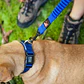 Correa ZEROSHOCK | EZYDOG | Verde Militar - Miniatura 4