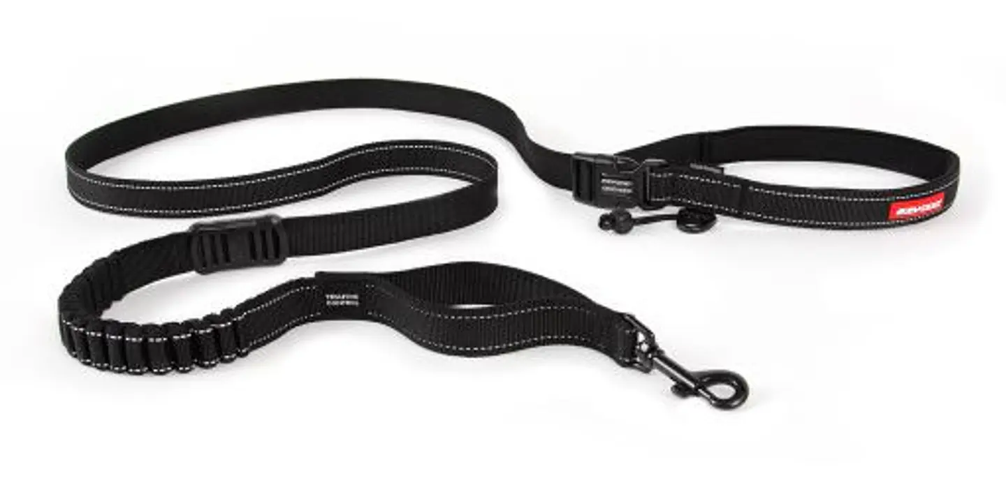 Correa ROADRUNNER ZEROSHOCK | EZYDOG | Color Plomo 4