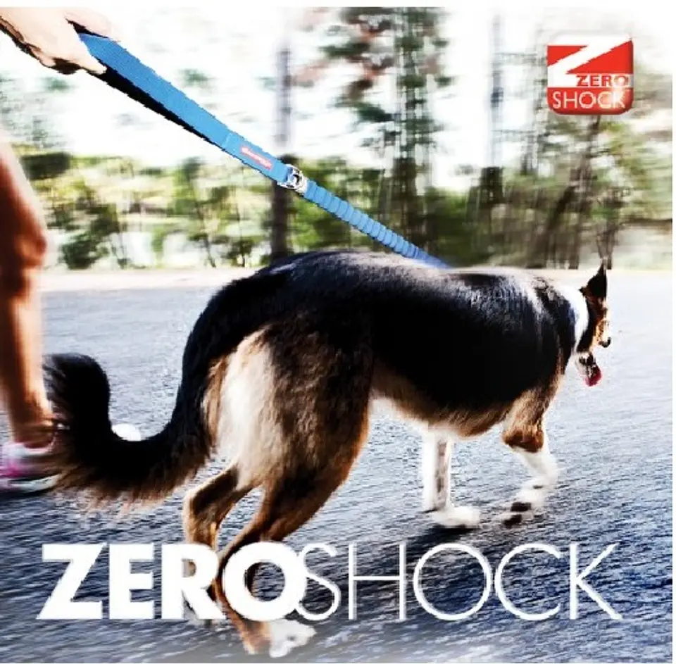Correa ROADRUNNER ZEROSHOCK | EZYDOG | Color Negro 7