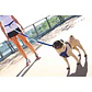 Correa ROADRUNNER ZEROSHOCK | EZYDOG | Color Negro - Miniatura 8