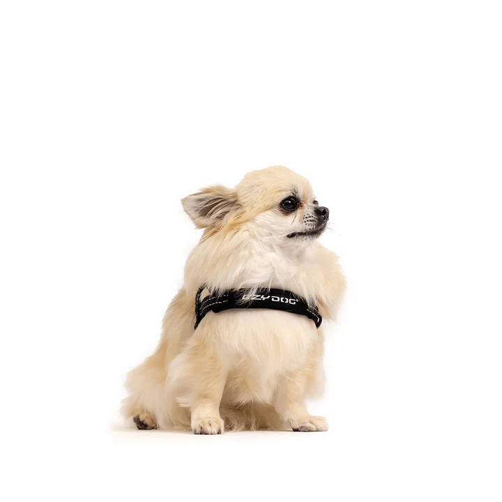 Arnés QUICKFIT | EZYDOG | Color Negro | Talla M