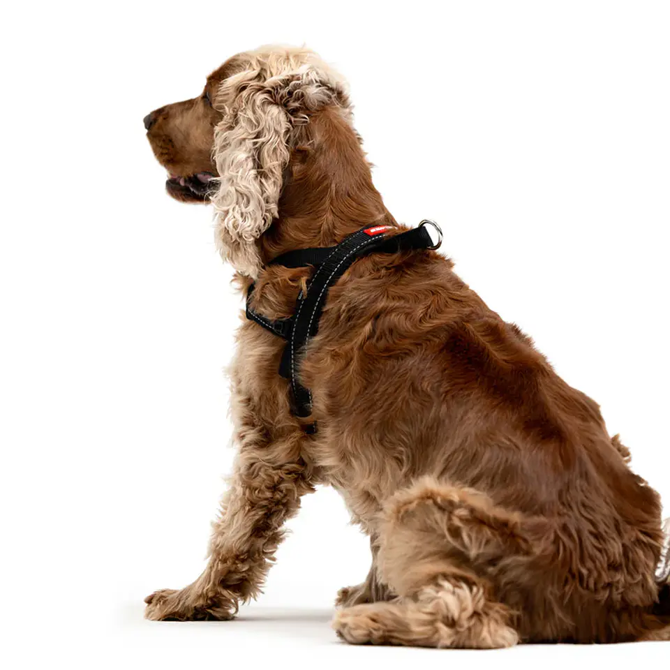 Arnés QUICKFIT | EZYDOG | Color Negro | Talla M 3