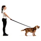 Arnés QUICKFIT | EZYDOG | Color Negro | Talla M - Miniatura 4