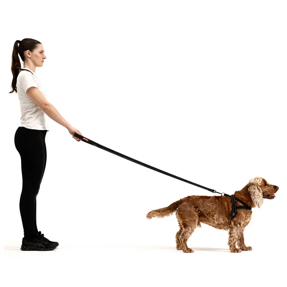 Arnés QUICKFIT | EZYDOG | Color Negro | Talla M 4