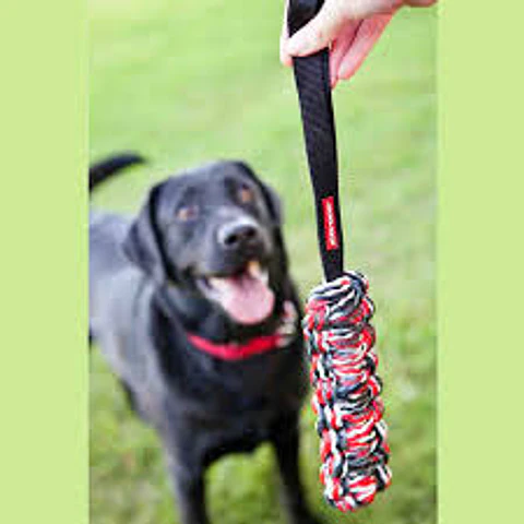 Juguete BEAVERTAIL EZYDOG | Talla L
