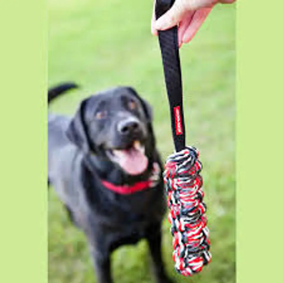Juguete BEAVERTAIL EZYDOG | Talla L 1