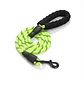 Correa para Perros, Color Verde  - Miniatura 1