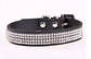 Collar Adiamantado Color Negro Talla XL - Miniatura 1