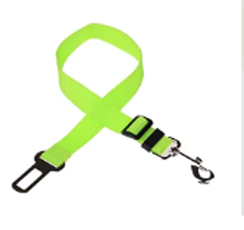 Cinturón de Seguridad | Color Verde