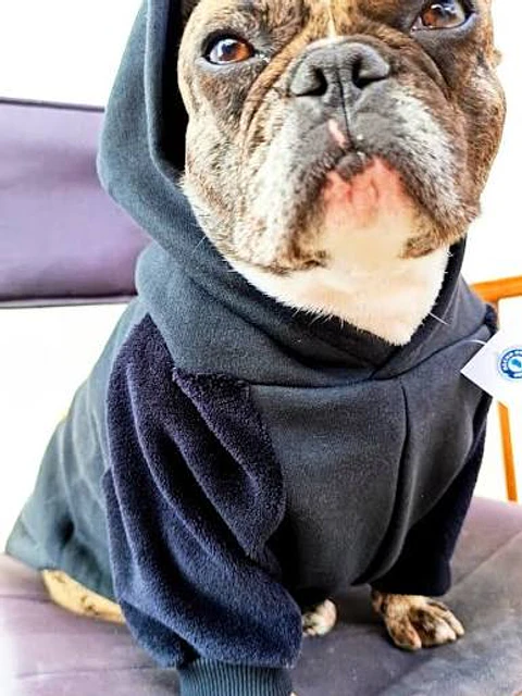 Poleron DogFace con Capucha Talla M color Plomo