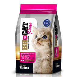 BR Cat Gatitos - Br