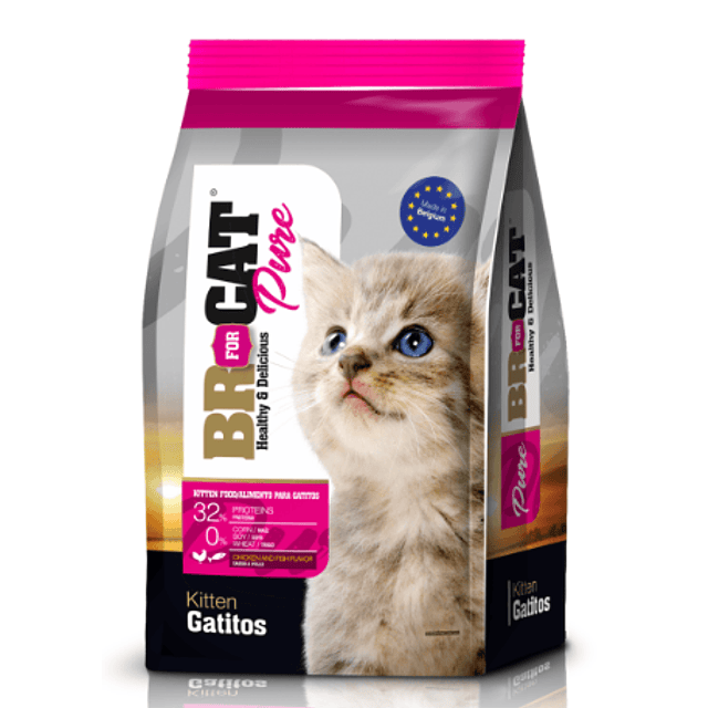BR Cat Gatitos - Br