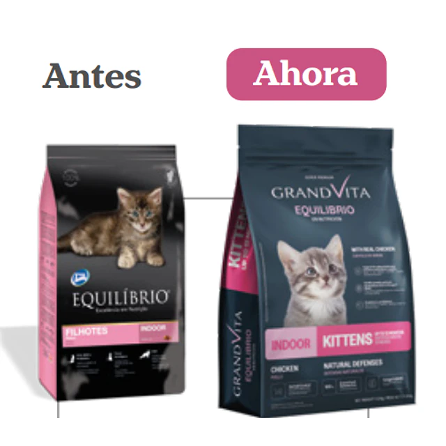 Equilibrio Gatito Indoor 