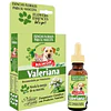 Esencias Naturales y Frorales -Natural Freshly 25ml