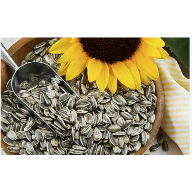 Alimentos para aves 500gra 