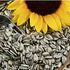 Alimentos para aves 500gra 