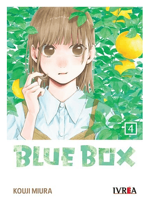 Blue Box #04 - Ivréa Ar