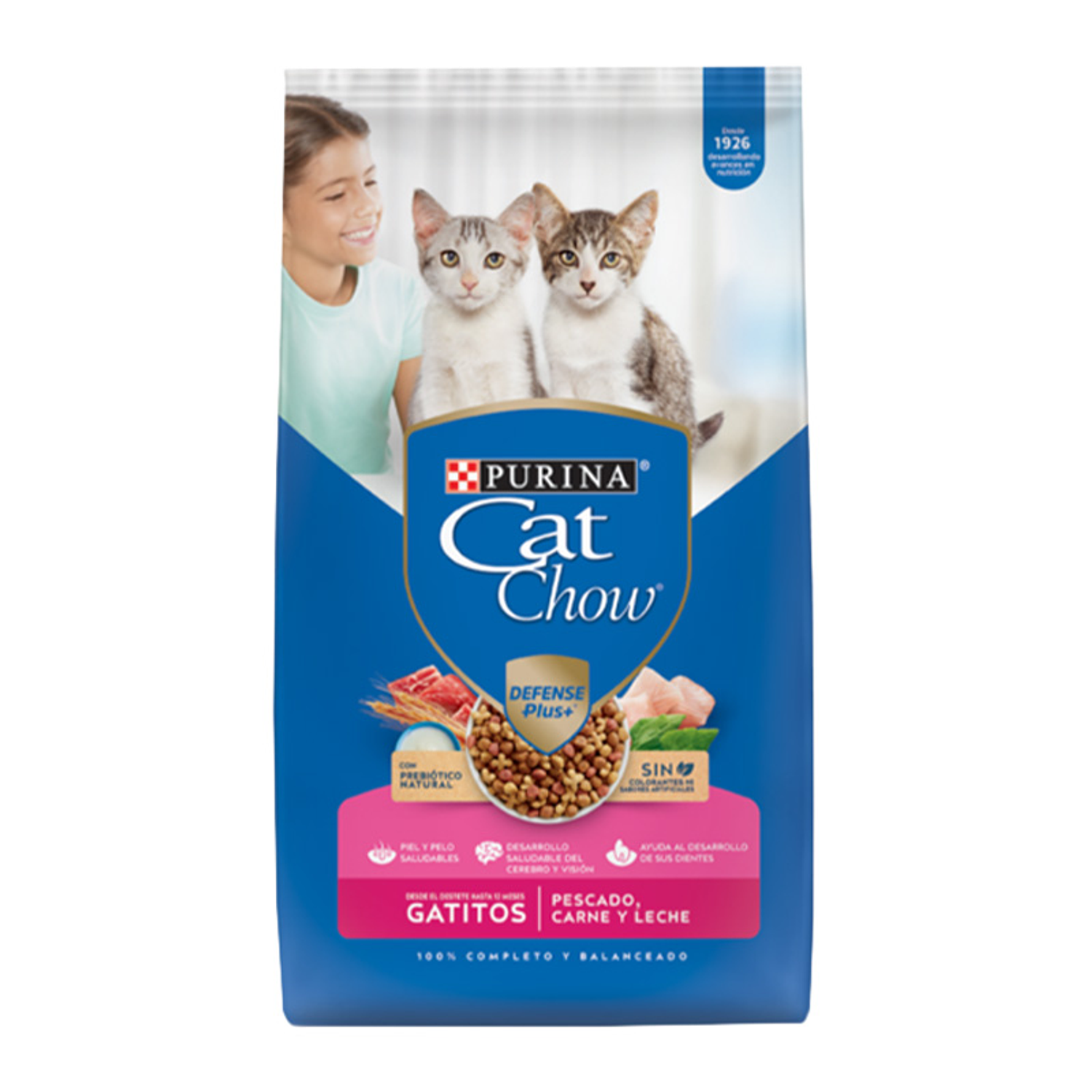 Cat Chow Gatitos 1kg