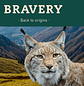 Bravery Gatos Pollo 7 kilos - Miniatura 3