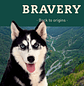 Bravery Mini Puppy Pollo 7 kilos - Miniatura 3