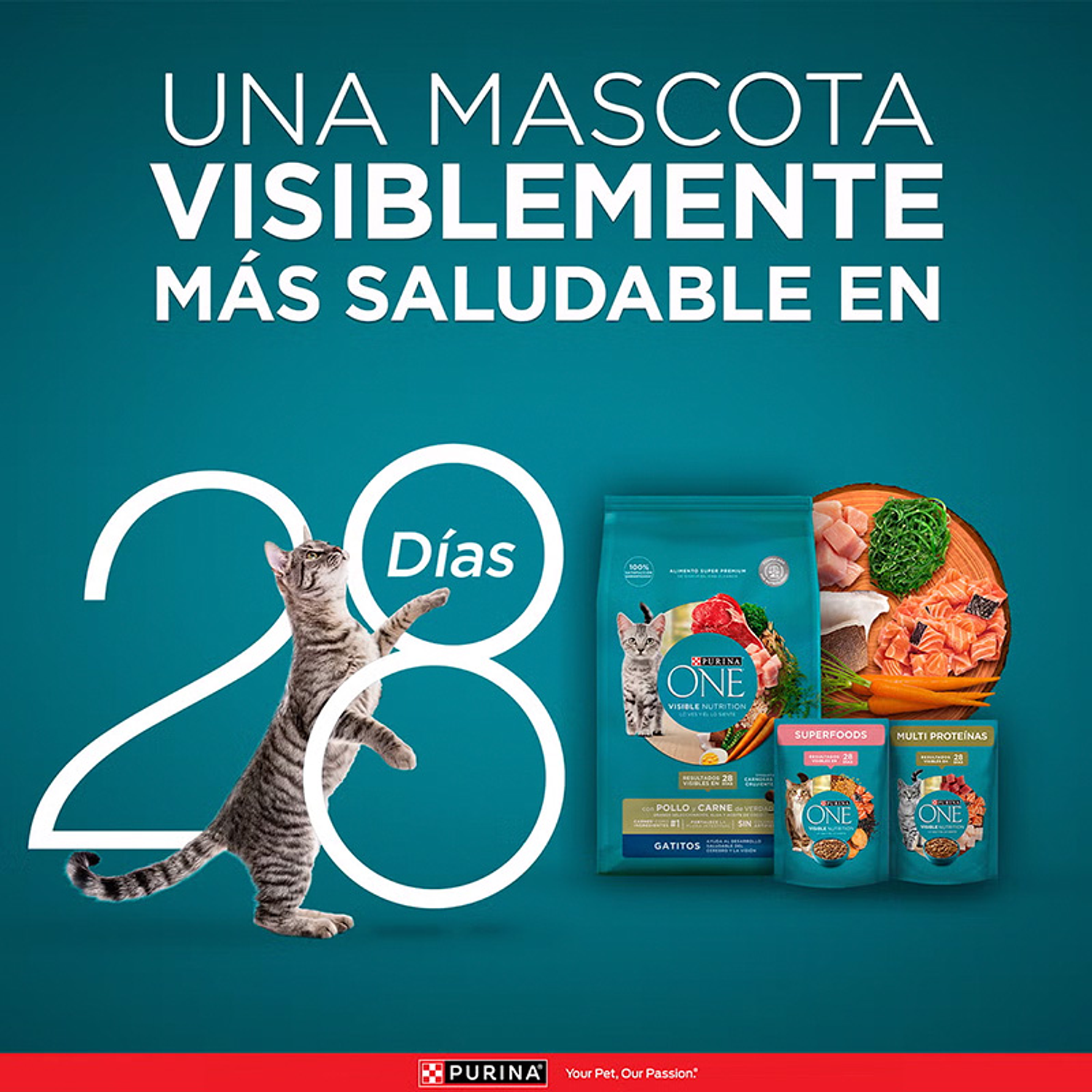 Purina One Gatito Pollo y Carne 2kg 4