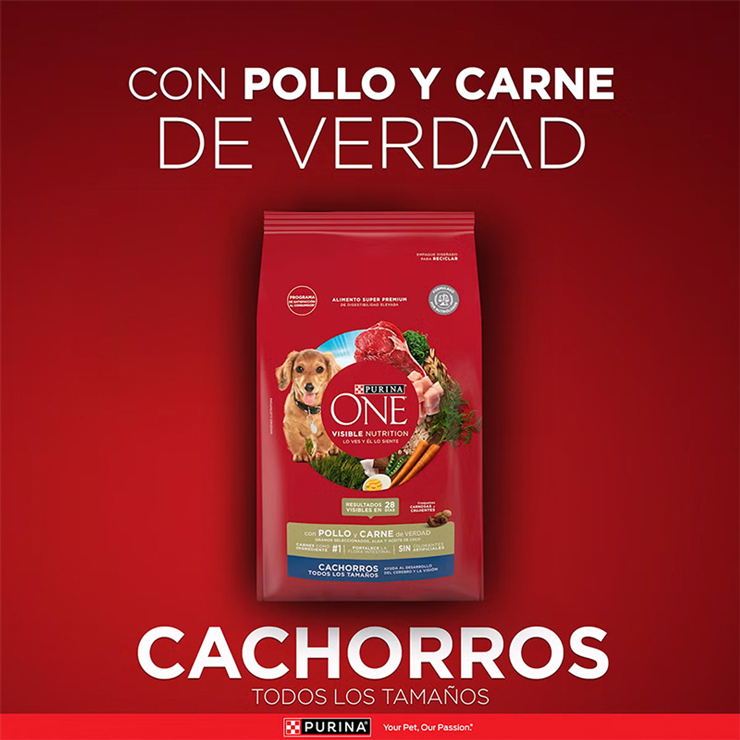 Purina One Cachorro Pollo y Carne 6kg 2