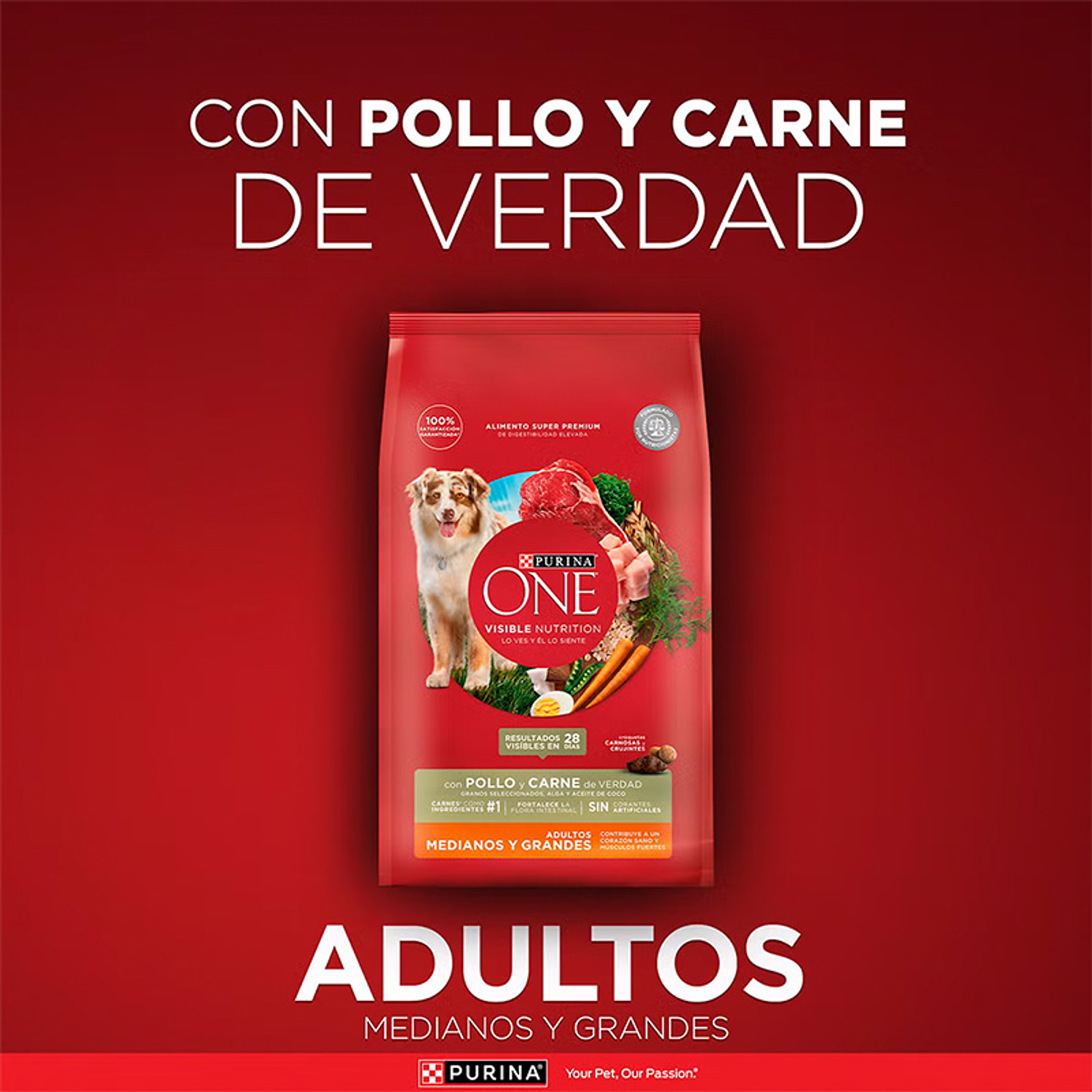 Purina One Medianos y Grandes Pollo y Carne 12kg 2