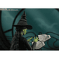 S.H Figuarts Elphaba - thumbnail 6