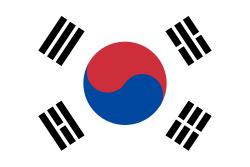 TECNICA COREANA