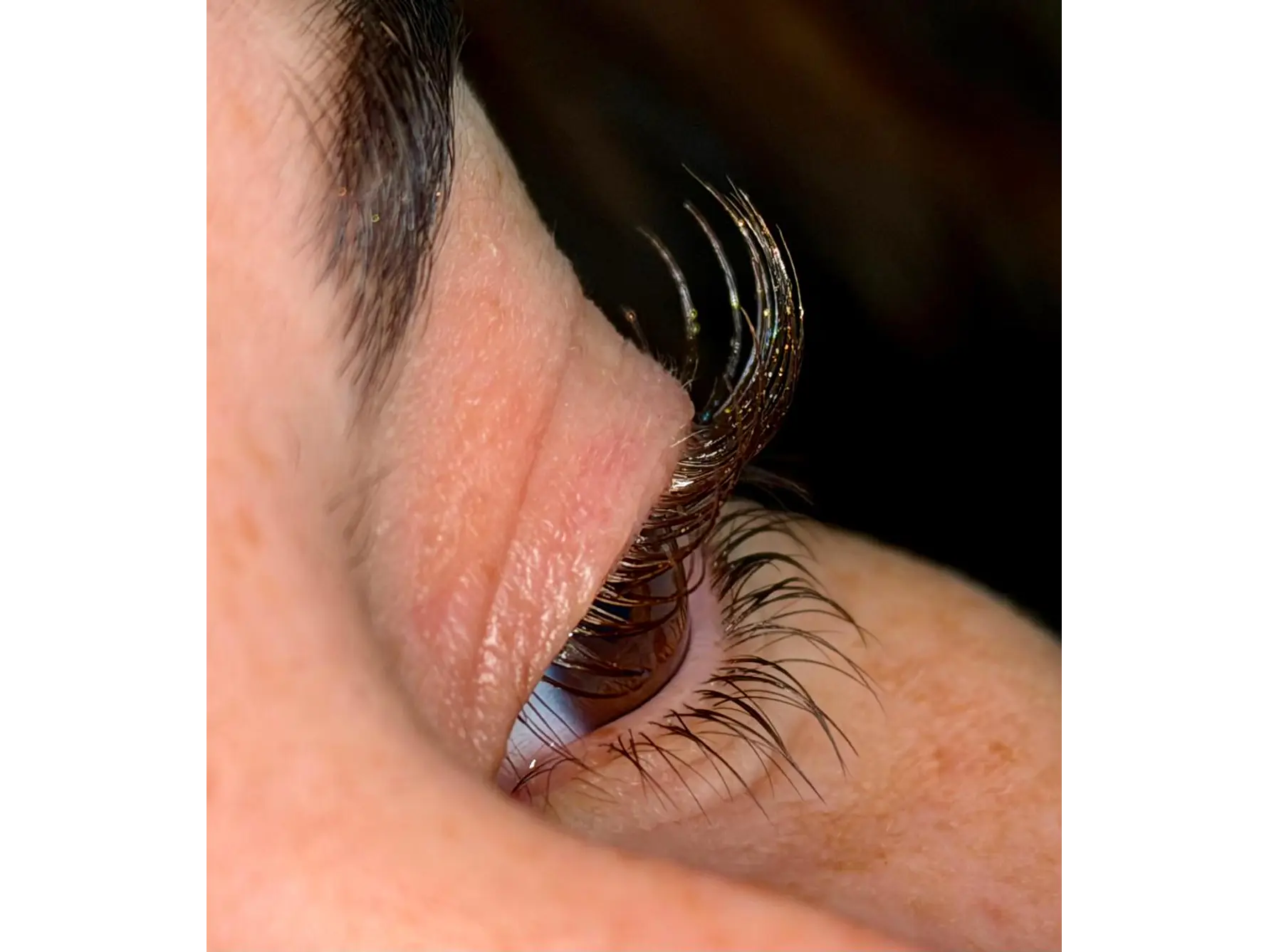 LASHLOCK by Browlash Essentials 2