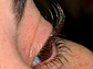 LASHLOCK by Browlash Essentials - Miniatura 2