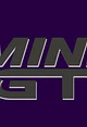 MiniGt
