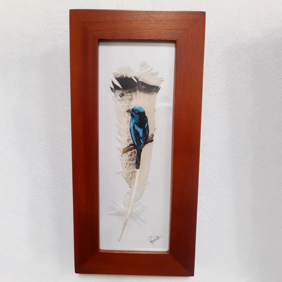 Cuadro Dacnis Turquesa 1