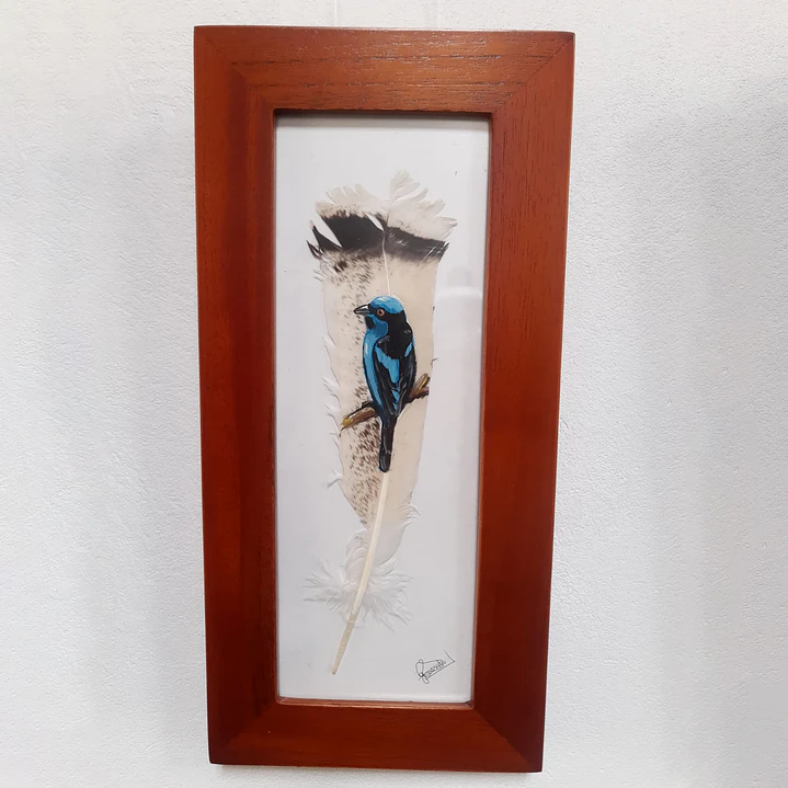 Cuadro Dacnis Turquesa 1