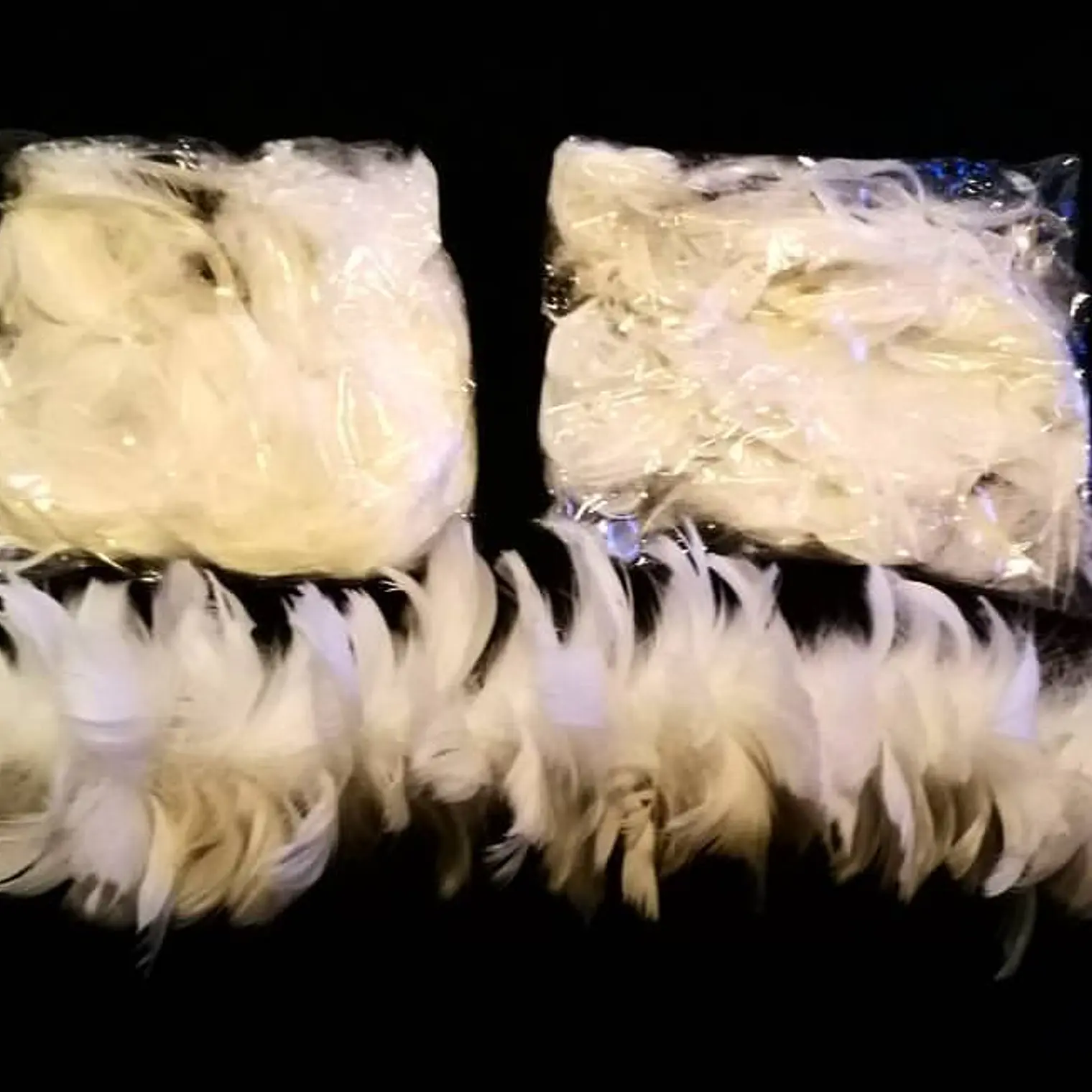 Bolsa con Plumas Blancas entre 4 y 8cm Para artesania 2